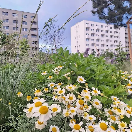 Large 75 M2 Next To Airport - Free Parking Apartment